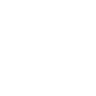 Security Icon
